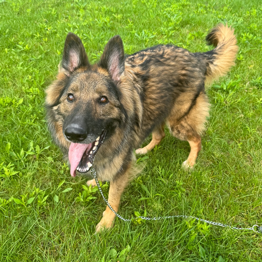 Frieda