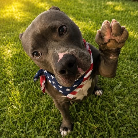 Photo of Deion