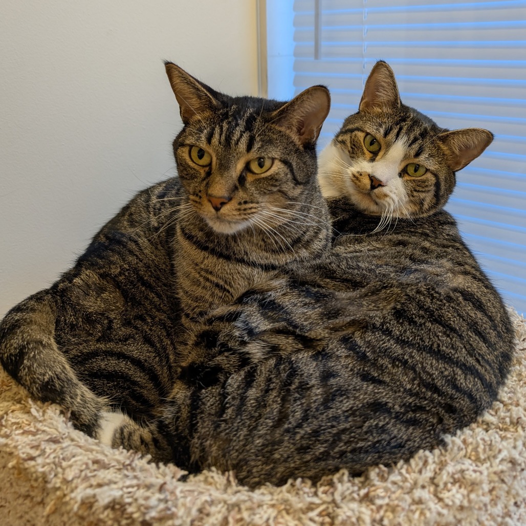Mario & Luigi, photo 2