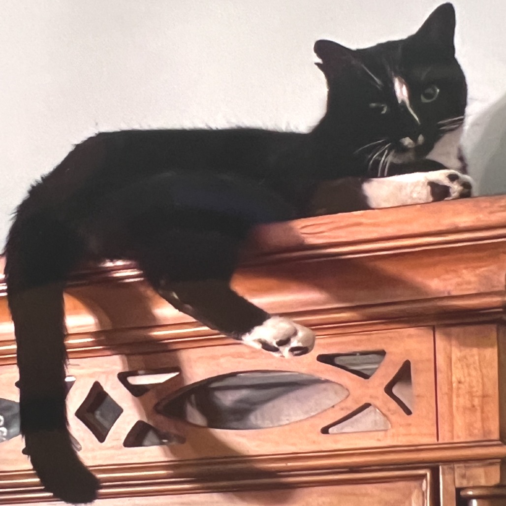 Photo of Murzik