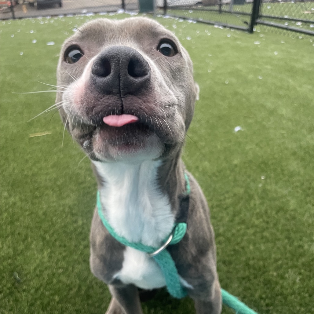 Syria — thumbnail 2