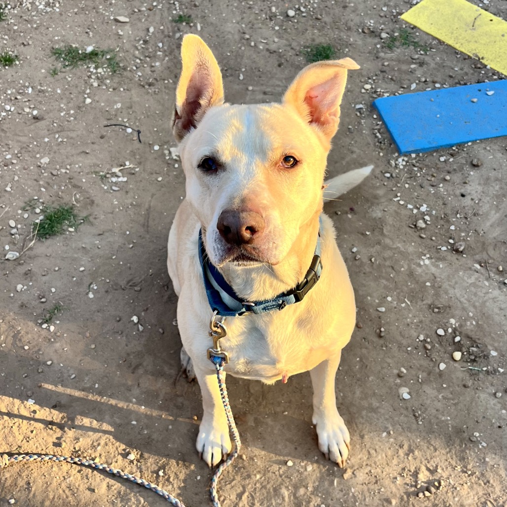 Kilo, additional photo