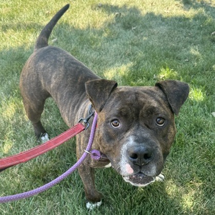 Keekoh — thumbnail 8