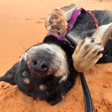 Roxy, photo 23