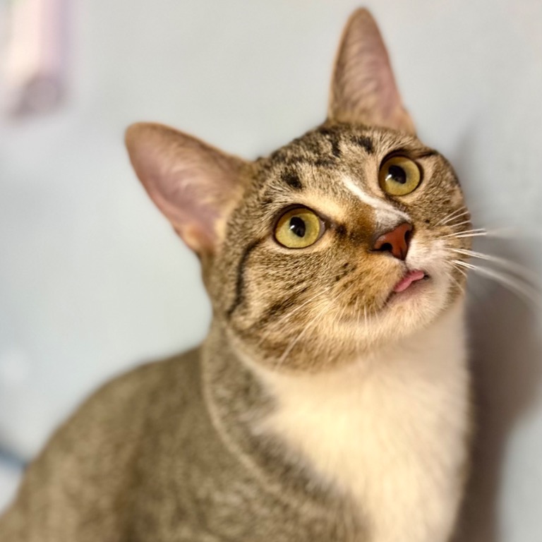 Photo of Wanderin’ Winnie playing