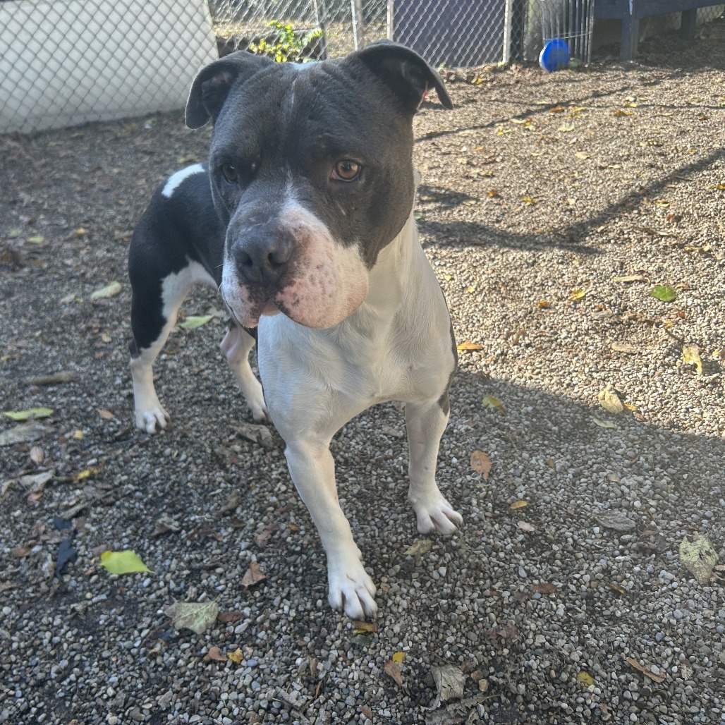 ZaZu — thumbnail 2