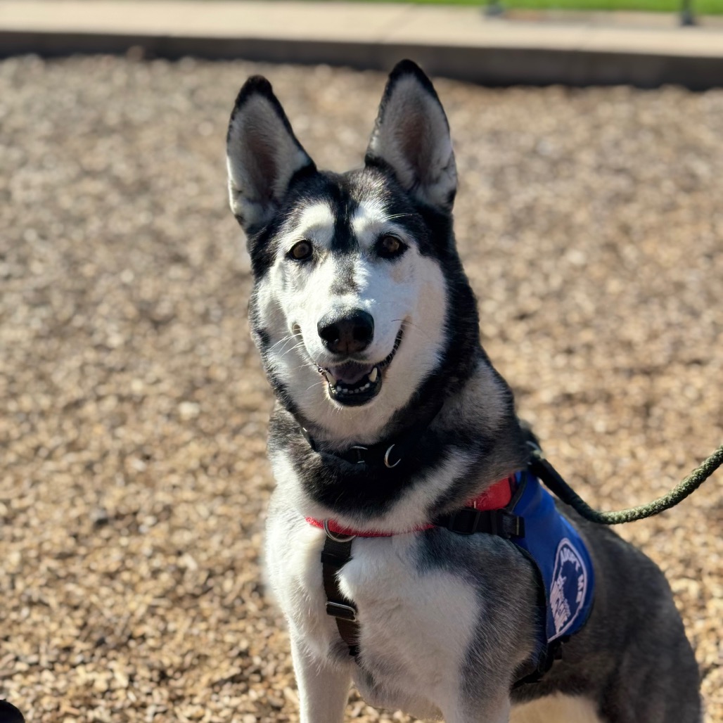 Tundra, photo 11