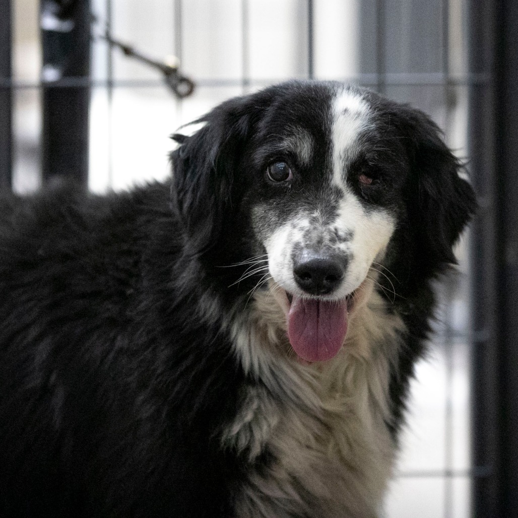 Skittles (MR26-329), photo 3