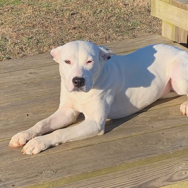 Winnie — thumbnail 8