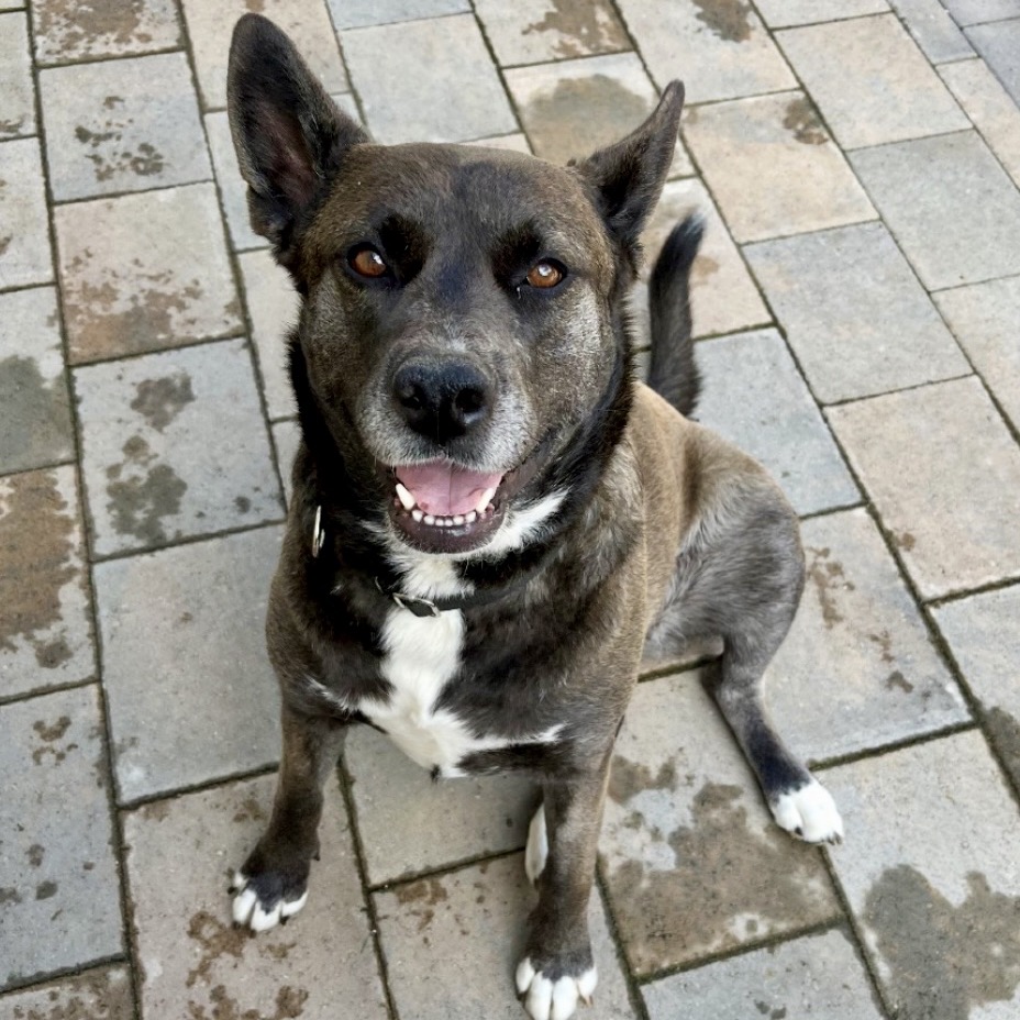 Annie, photo 3