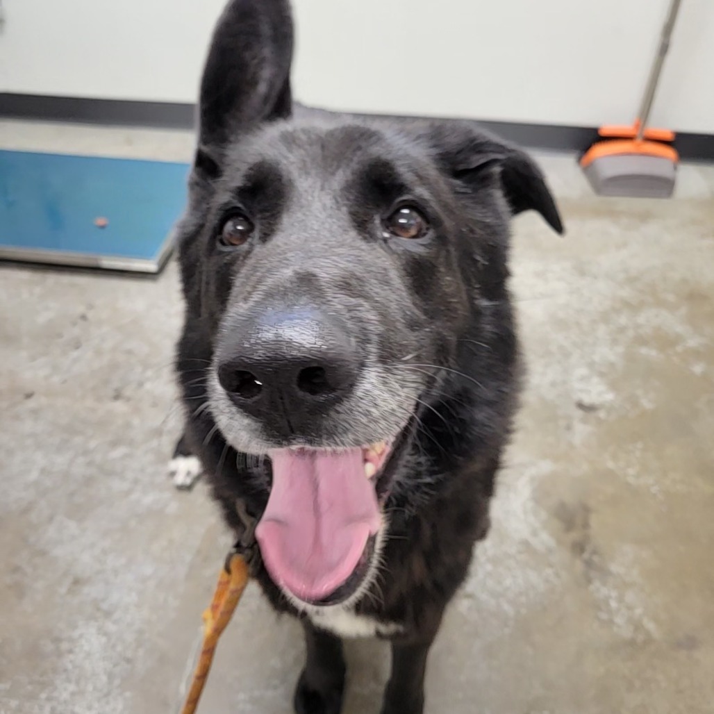 Otis, additional photo