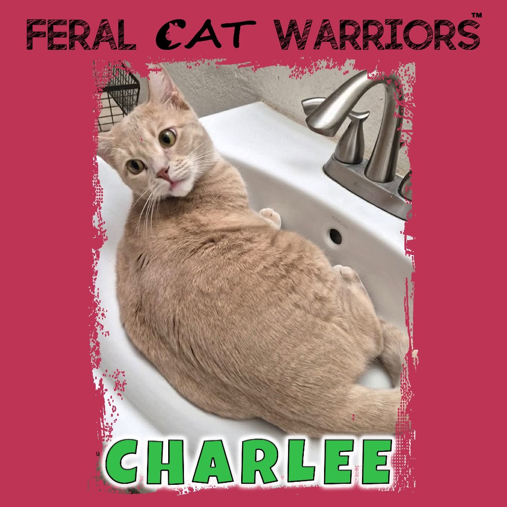 Charlee