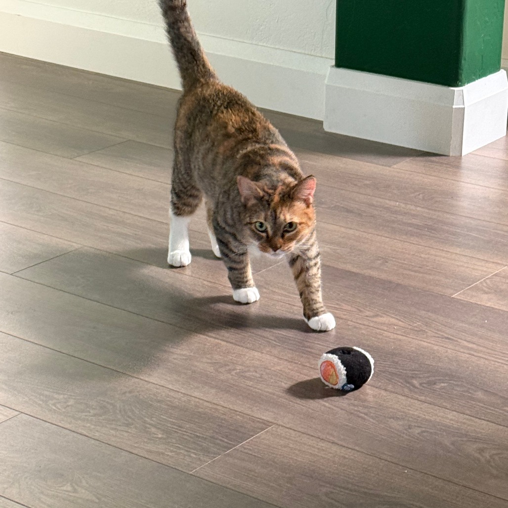 Nutmeg picture #15