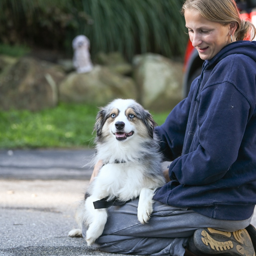 Coco - Phoenix Animal Rescue