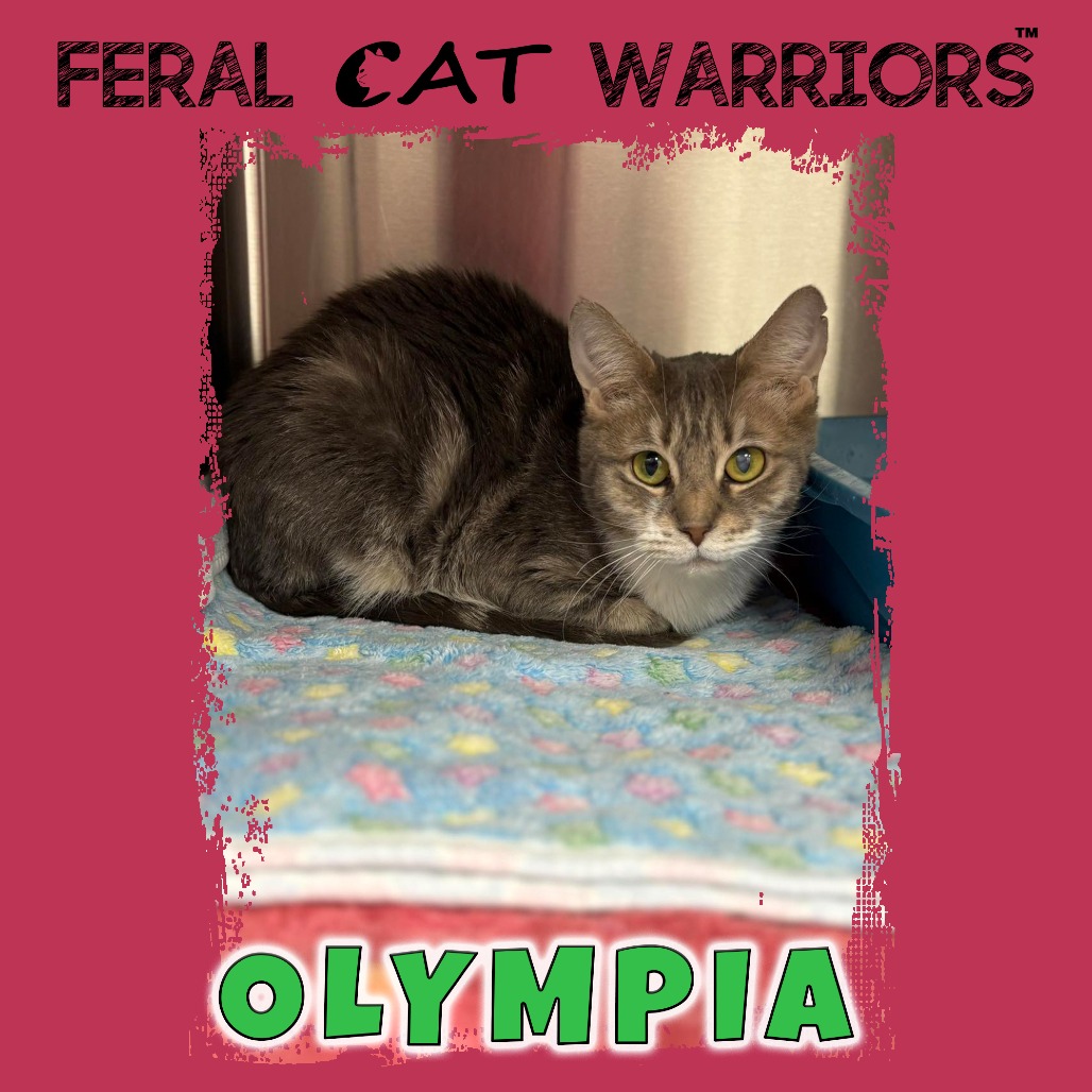 Olympia/Amires