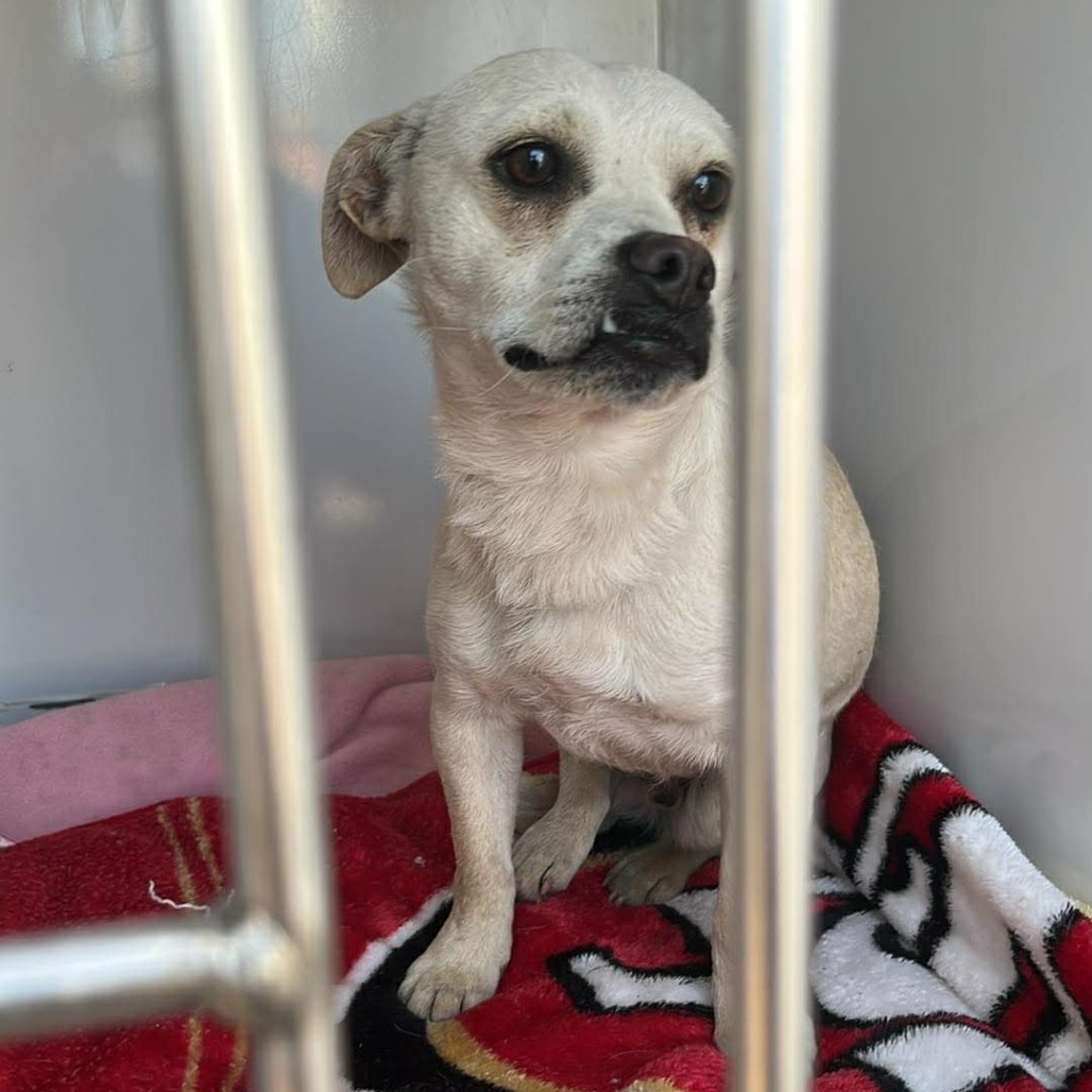 Kennel#25's preview photo