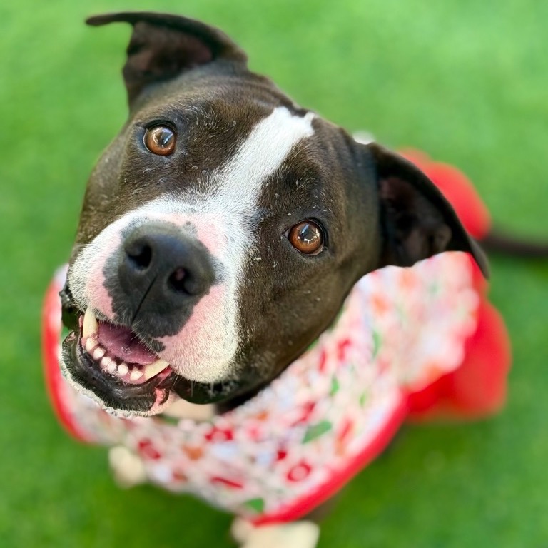 Another portrait of Emelia