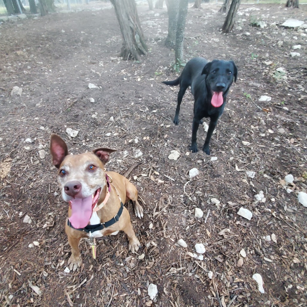 Melon Loaf — thumbnail 11