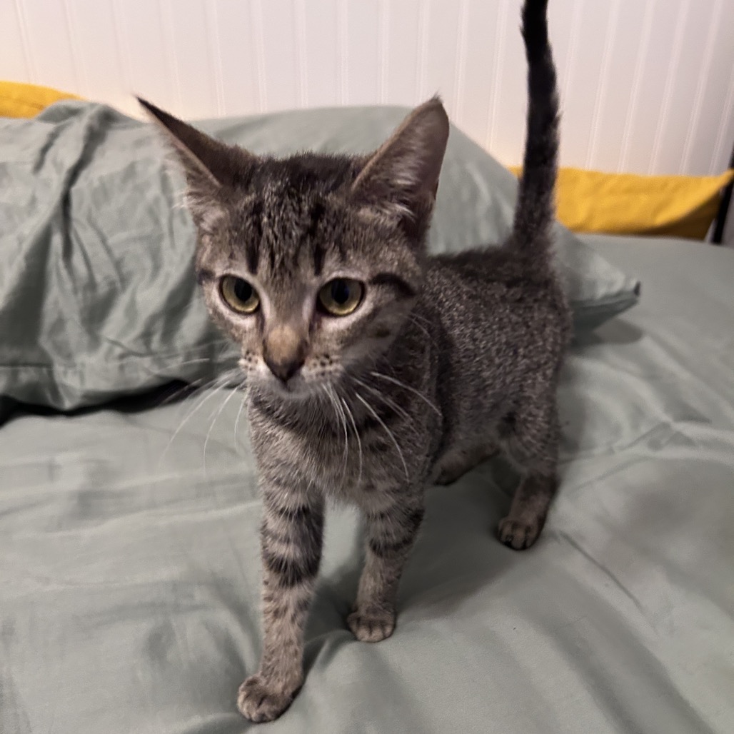 Mildred 26-05-008