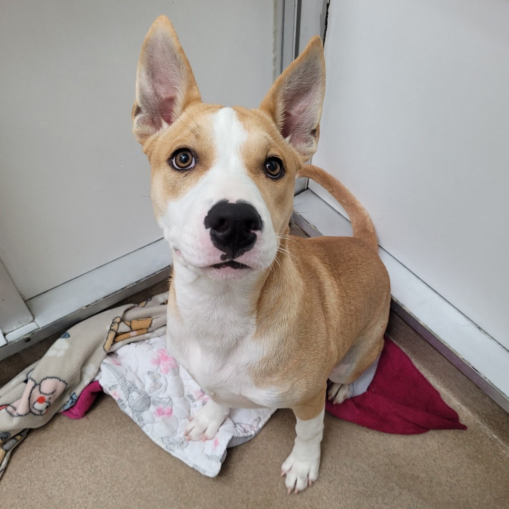 Max photo 14