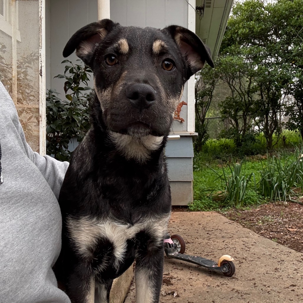 Atlas — thumbnail 4