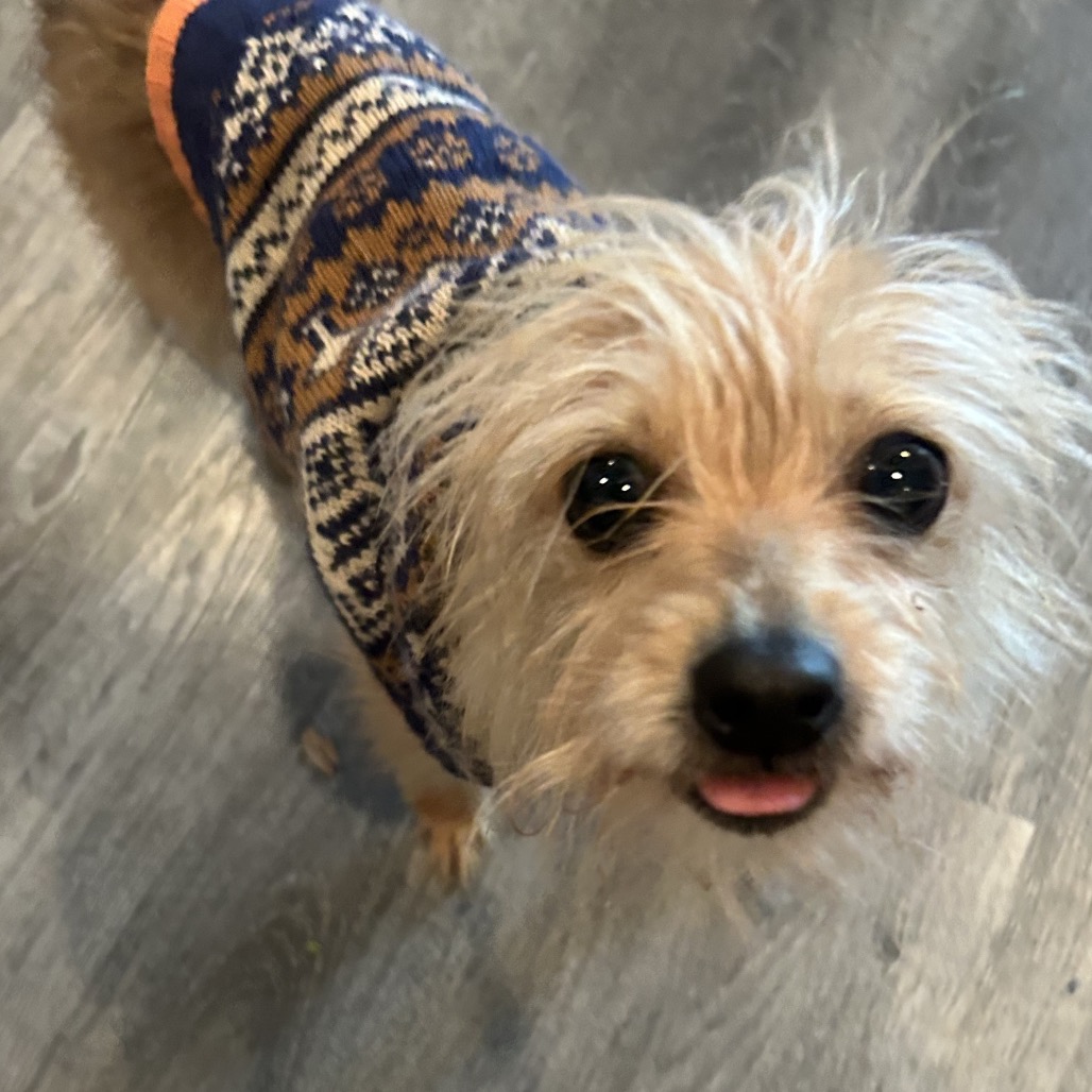 Bye Felicia — thumbnail 5