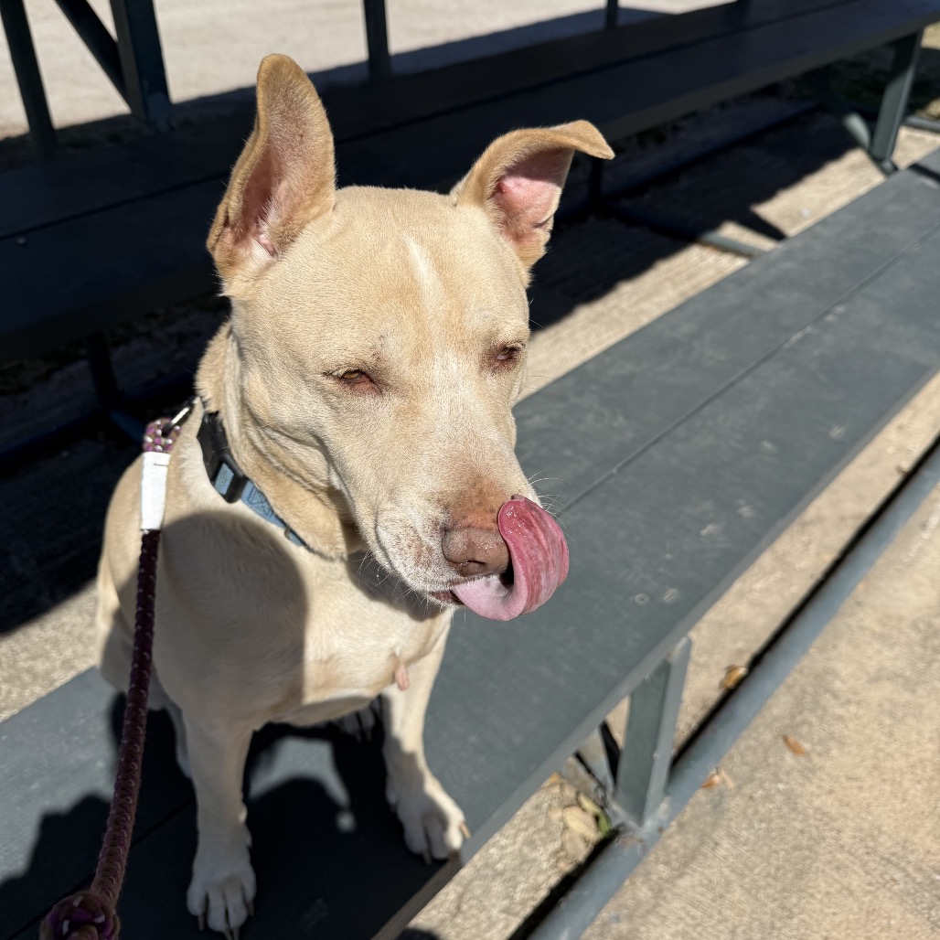 Kilo, additional photo