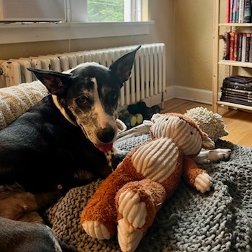 Beesly, photo 11
