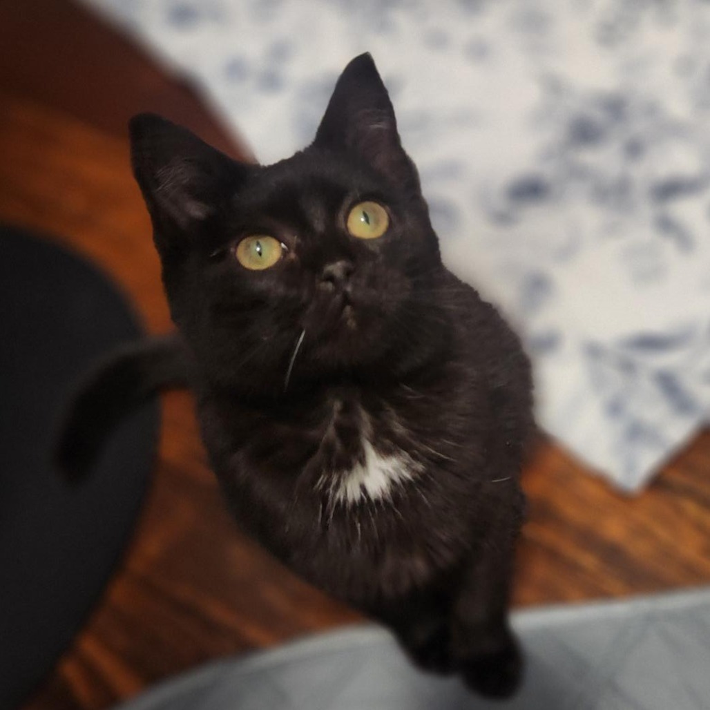 f6cc7cdb86dbadd400d9a3ce7c2561eb