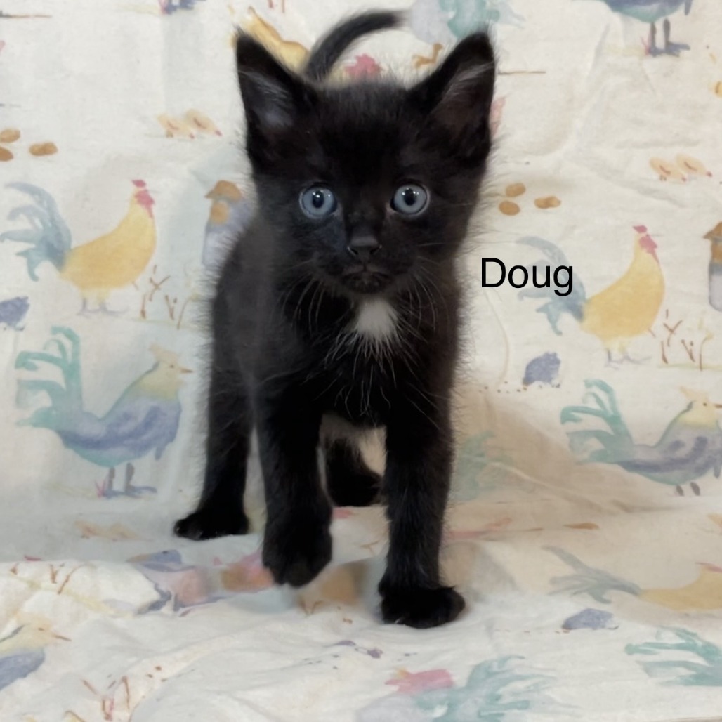 Doug