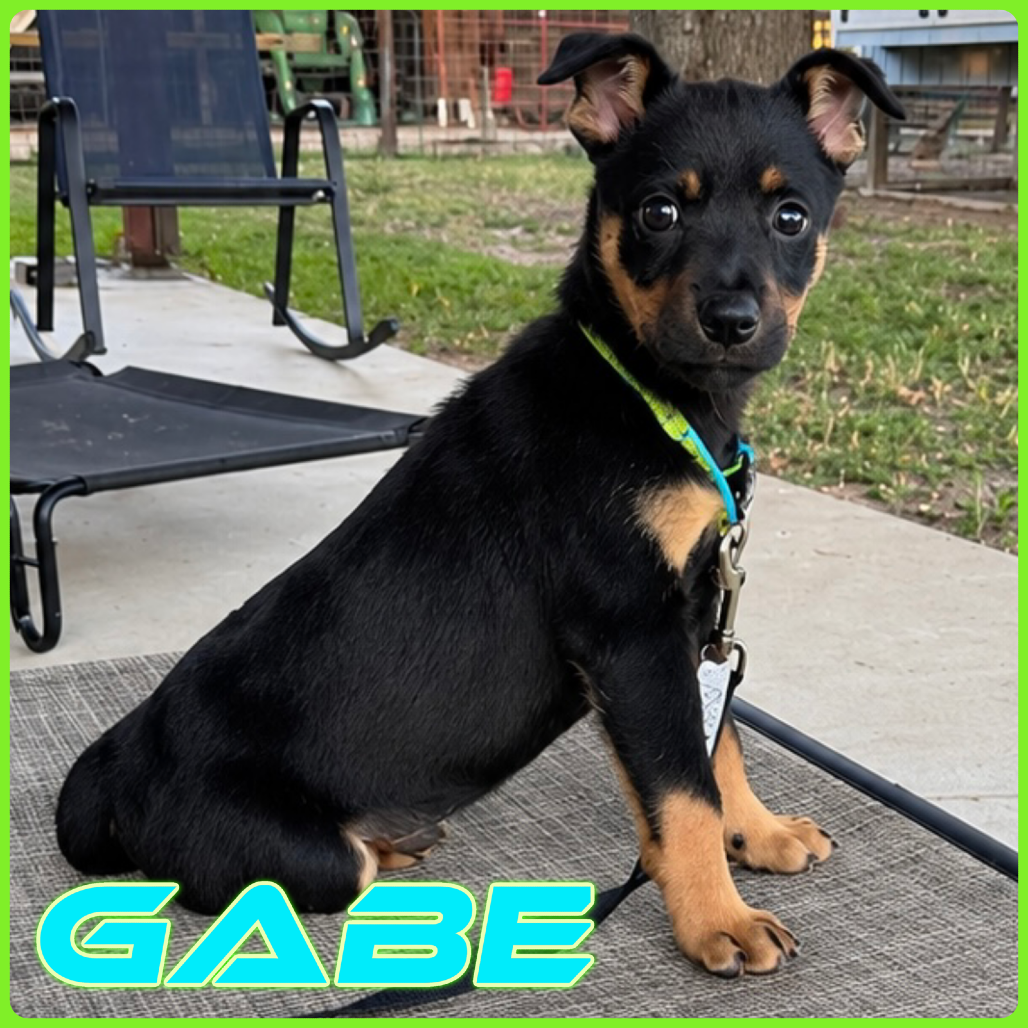 Gabe 26-10-014