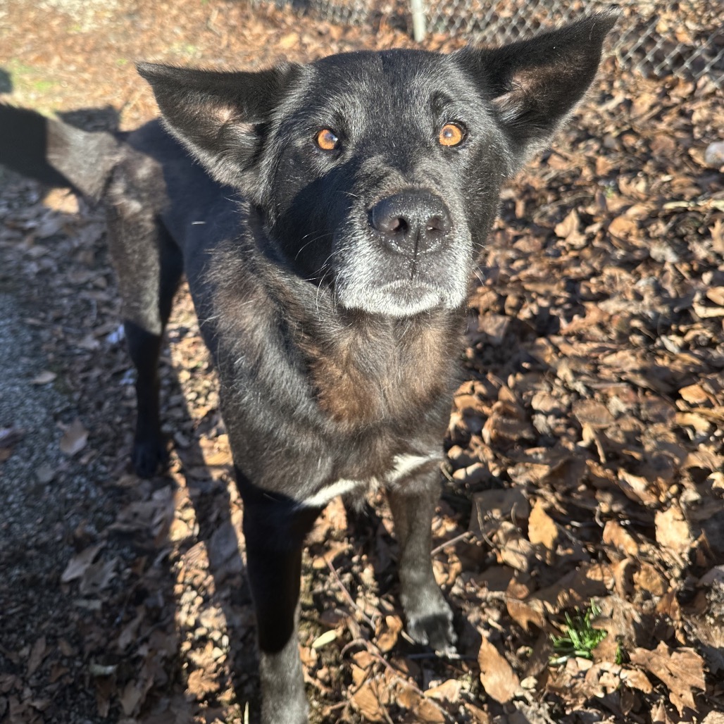 Rainbow — thumbnail 3