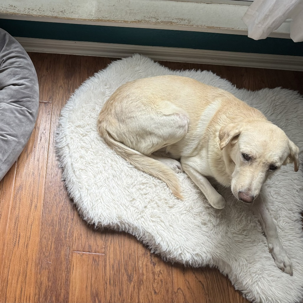 Betty, additional photo