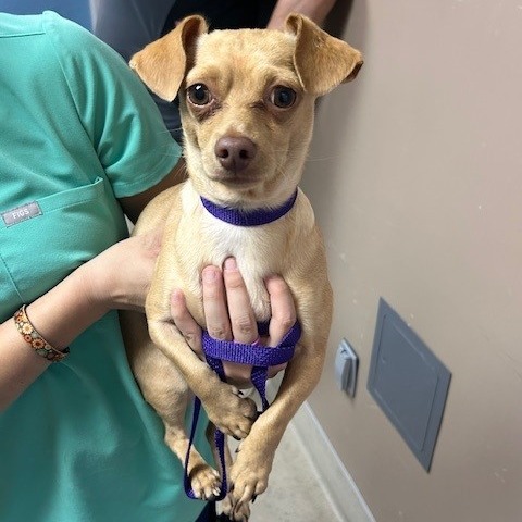 Kennel#32's preview photo