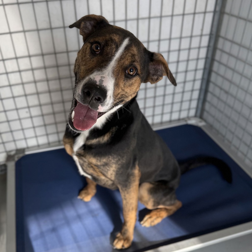 Marley — thumbnail 2