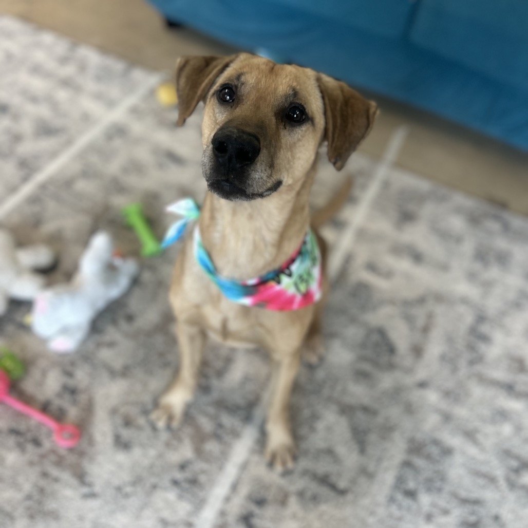 Simon — thumbnail 5