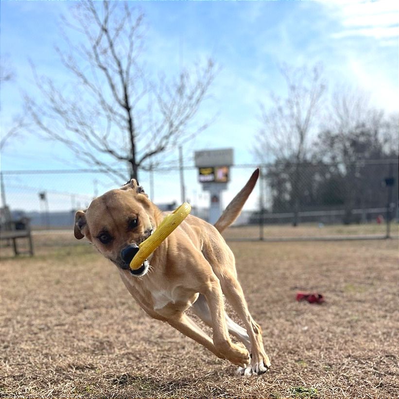 May May — thumbnail 4