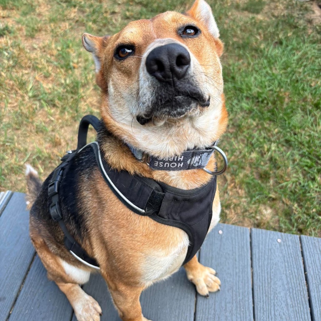 Reagan, photo 22