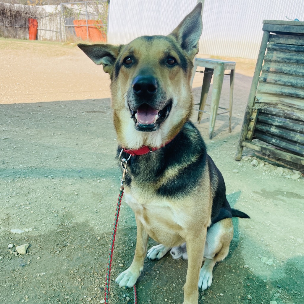 Jackson Pollock — thumbnail 10