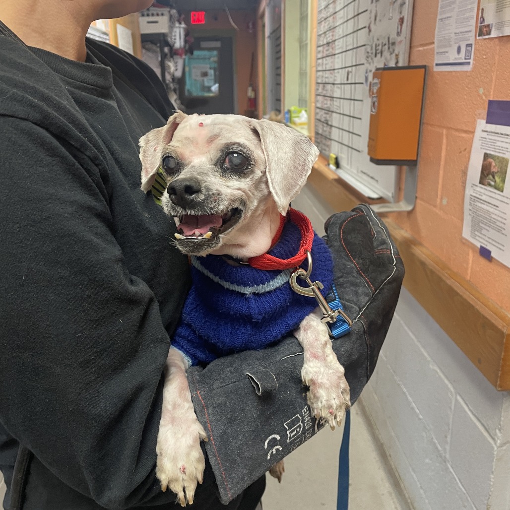 Bubble Boy — thumbnail 3