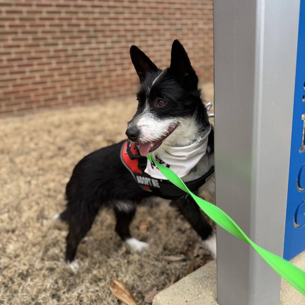 Squirt — thumbnail 3