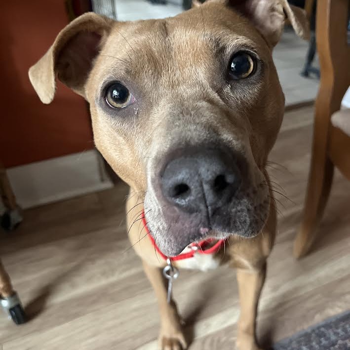 Nora — thumbnail 8