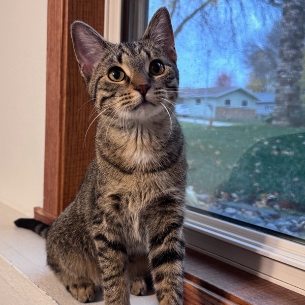 Farida--In Foster, photo 5