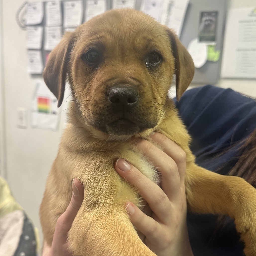 Robbie FunPants — thumbnail 2