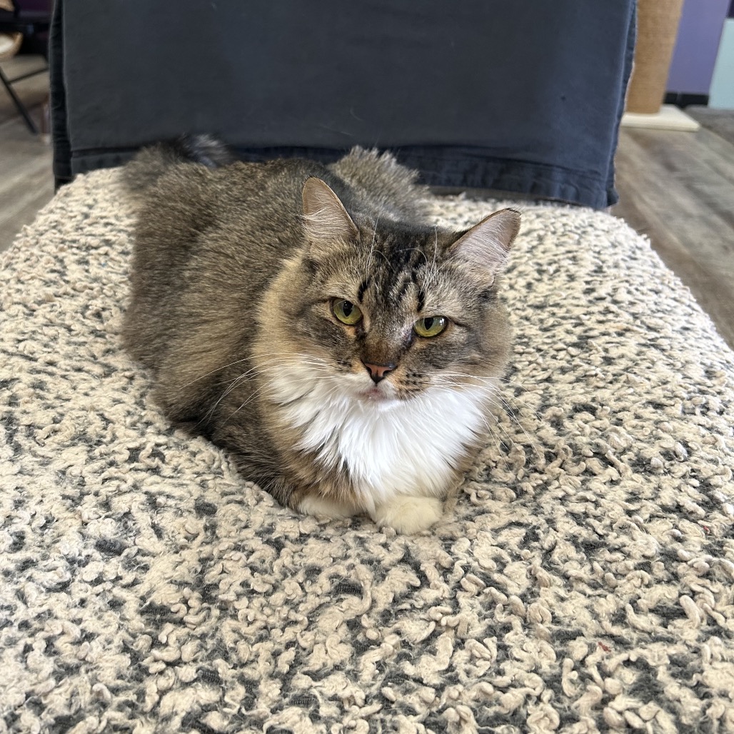 Maya, photo 4 of 7