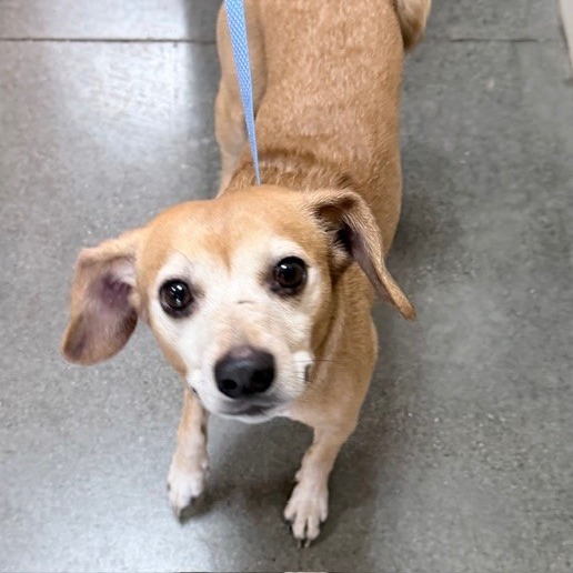 Kennel#3's preview photo