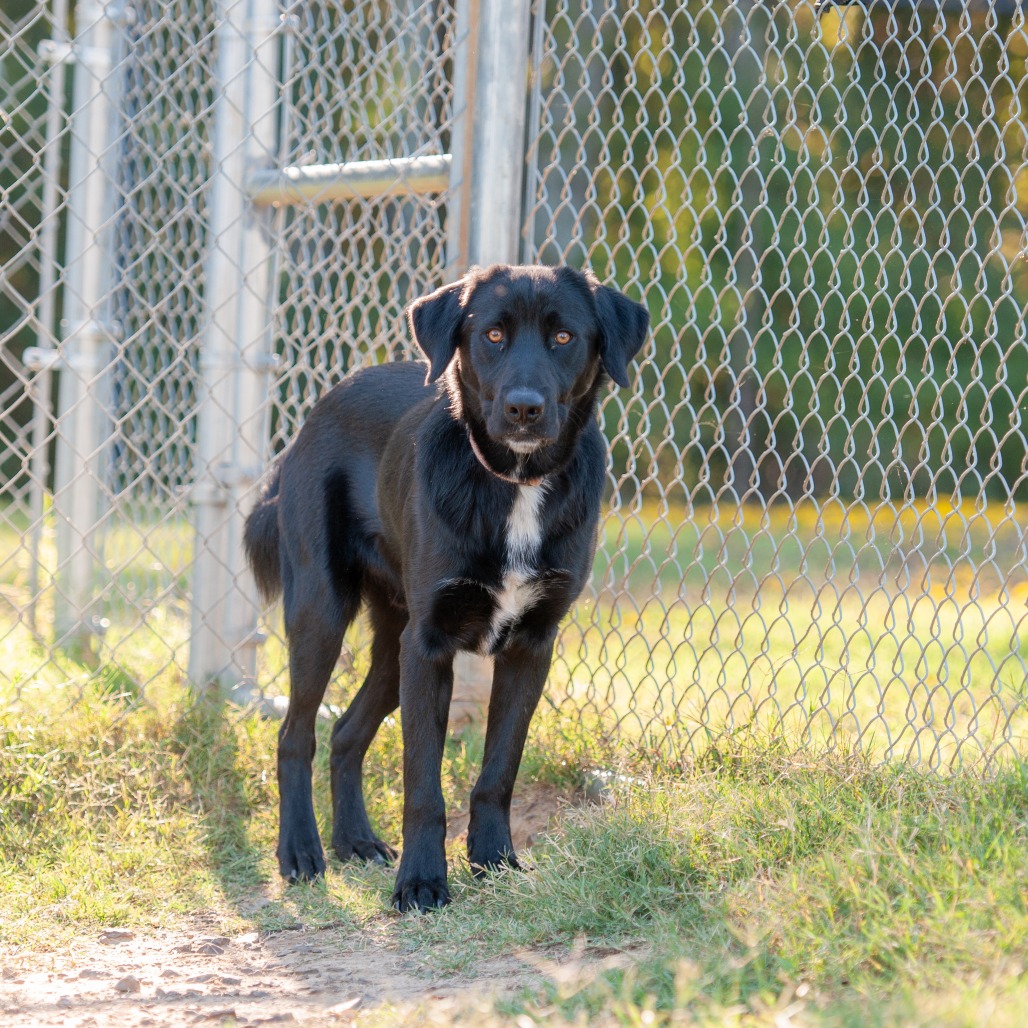 Ernie, photo 10