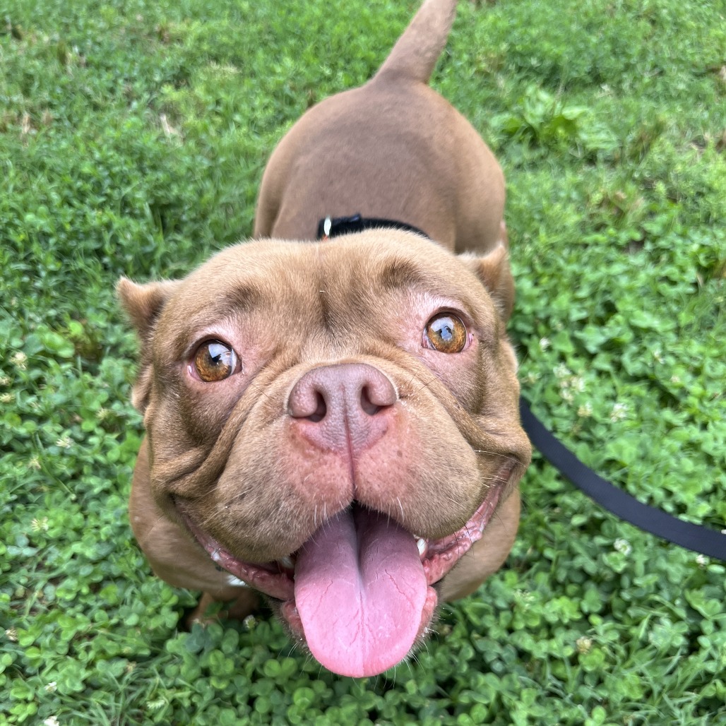 Fiona