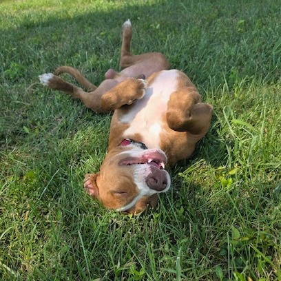 Rocky, photo 18