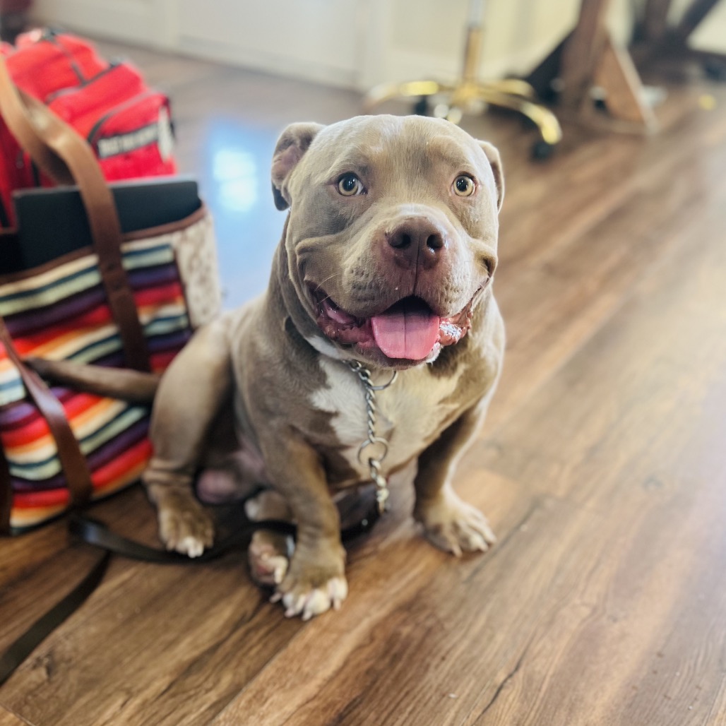 Photo of Chubbs